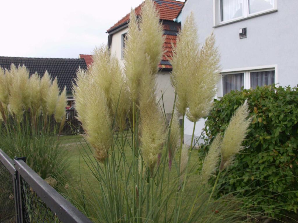 Haus Frieda Villa Koserow Bilik gambar